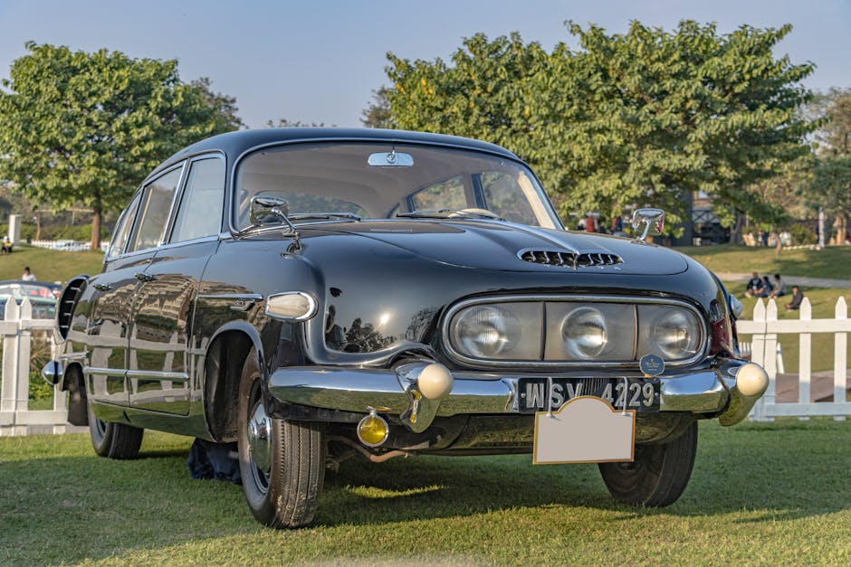 Logistica și distribuția produselor