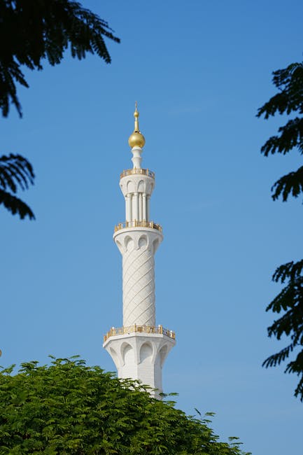 Logistica și distribuția mărfurilor